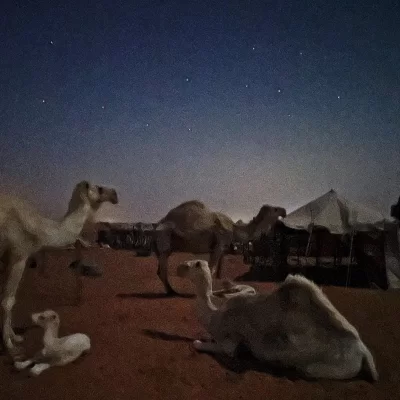 غزل الكثيري